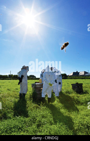 A Beekeeper demonstrating the art of apiculture to a group of people all wearing protective clothing.