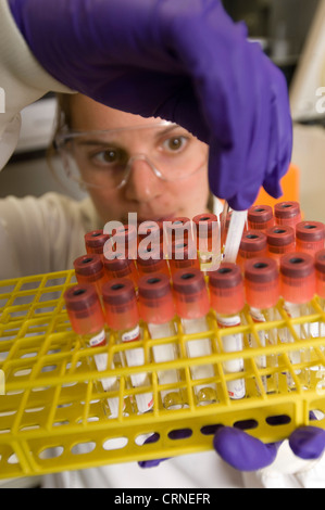 A scientist checks a tray of samples in a lab Stock Photo