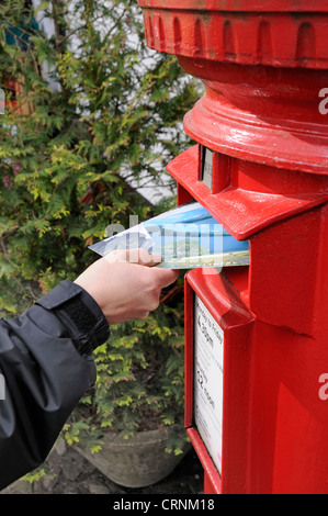 Posting postcards into a traditional red letter box. Stock Photo