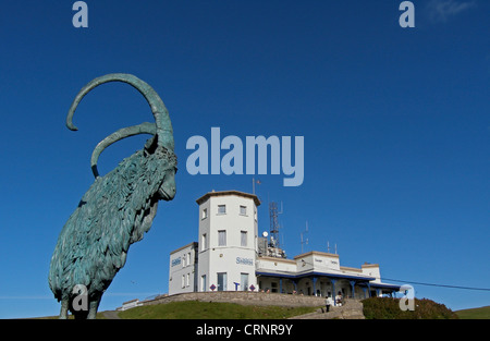 Ram statue and The Summit Complex in Great Orme Country Park. The Summit Complex now houses a Bar and Restaurant which is themed Stock Photo