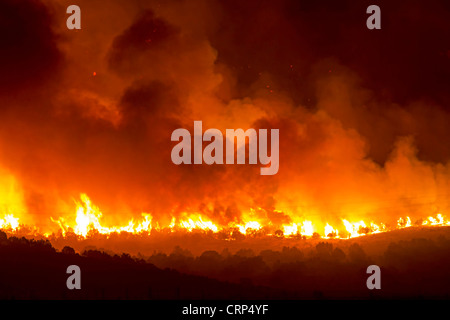 Forest fire burns out of control during night in Wood Hollow Canyon. Flames burning on mountain and wilderness. Stock Photo