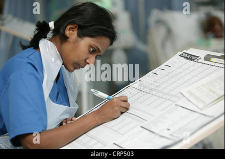 A nurse writing up her patient records. Stock Photo