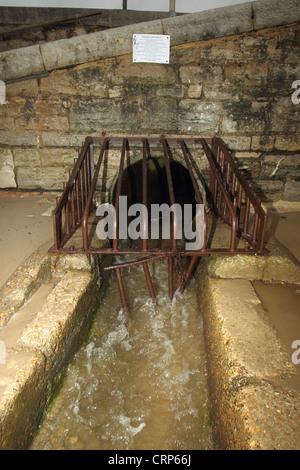 Combined sewer overflow (CSO), sanitary sewage and stormwater runoff ...