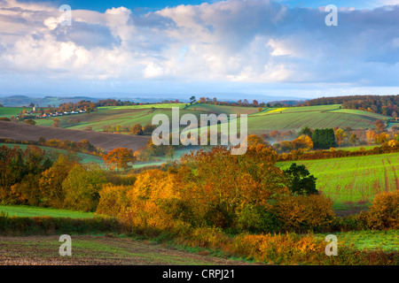 Early morning mist lingering over farmland near Crediton. Stock Photo