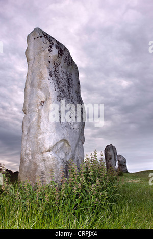 Standing stones, part of the Avebury ring, the oldest stone ring known to be in existence in the world. Stock Photo