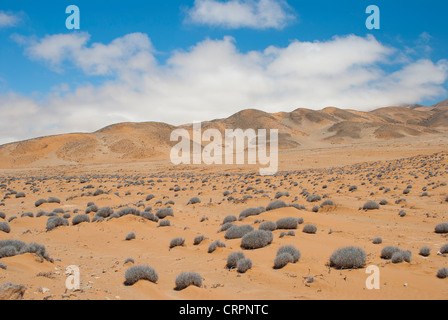 arid and dry landscape in the Atacama desert of Chile Stock Photo