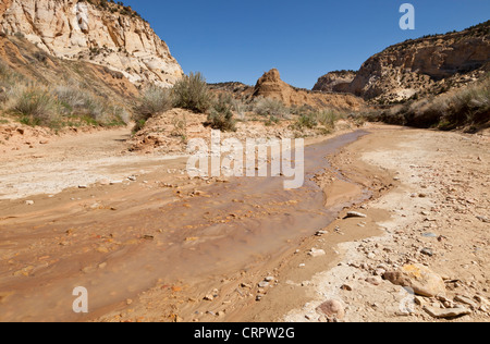 A stream running through Johnson Canyon in southern Utah USA Stock Photo