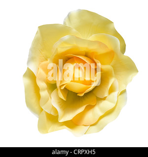 Artificial flower isolated on a white background. A soft light over fabric texture in yellow color. Clipping path Stock Photo