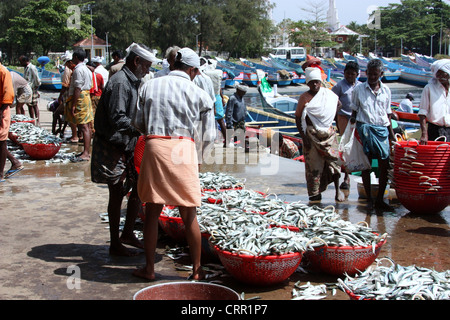 Cochin Fish Market in Kerala Stock Photo