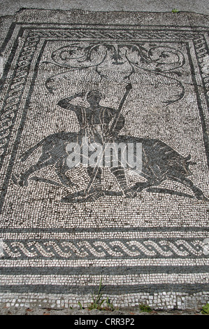 Ostia Antica. Square of the Guilds or Corporations. Mosaic depicting a hunting scene. Near Rome. Stock Photo