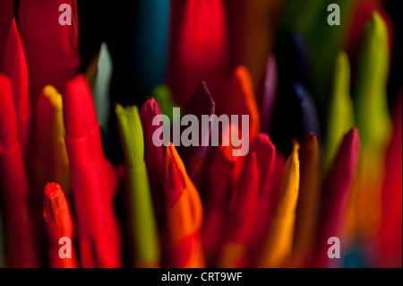 Multicolored paint brushes in a paint can with paint drips close-up Stock Photo