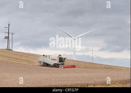 Combine harvester cutting the corn crop before the autumn storm on a cloudy windswept day with wind turbines on the horizon Stock Photo