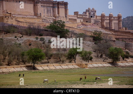 Agrfa Fort Jaipur, India Stock Photo