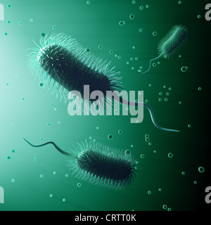 Bacteria illustration Stock Photo