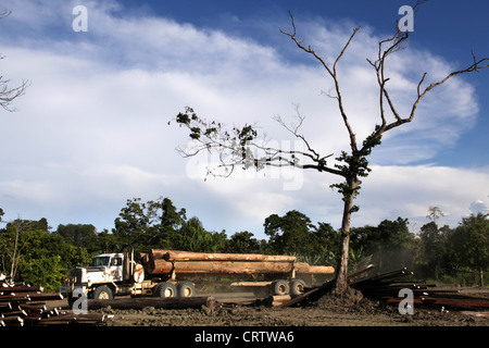 Logging truck in the rainforests of Madang province, Papua Neuguinea