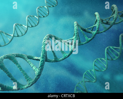 DNA strand Stock Photo