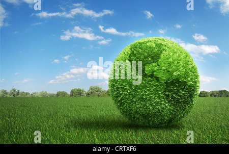 Leaf covered Earth on a green  field of grass Stock Photo