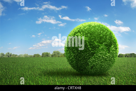 Leaf covered Earth on a green  field of grass Stock Photo