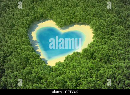 Heart-shaped pond in a tropical forest Stock Photo