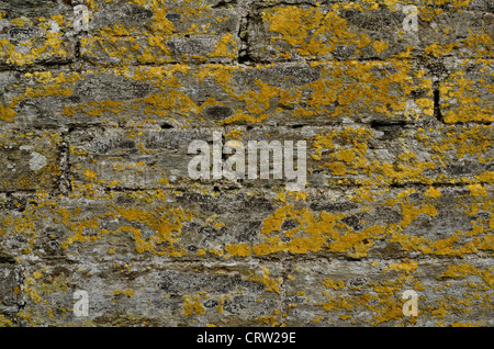 Stone building wall showing signs of lichen and mildew formation. Visual allegory for 'firewall' or file 'access denied'. Stock Photo