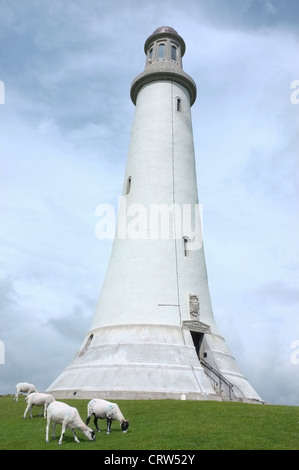 Sir John Barrow's Monument on Hoad Hill, Ulverston, Cumbria UK Stock Photo