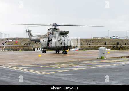 Royal Air Force Puma landing Stock Photo