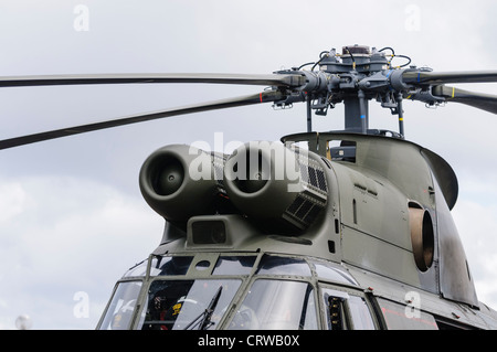 Royal Air Force Puma rotor and inlet detail Stock Photo