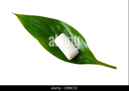 chewing gum on a green leaf Stock Photo