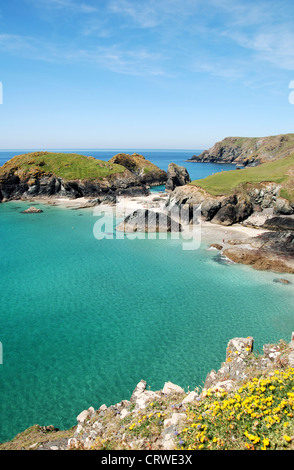 Kynance Cove on the Lizard Peninsular in Cornwall, England, UK Stock ...