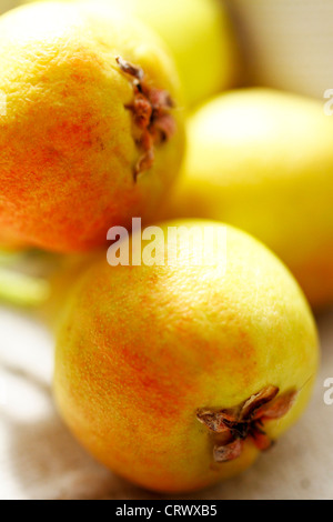 pears scene emphasizing ecological farming color and texture Stock Photo