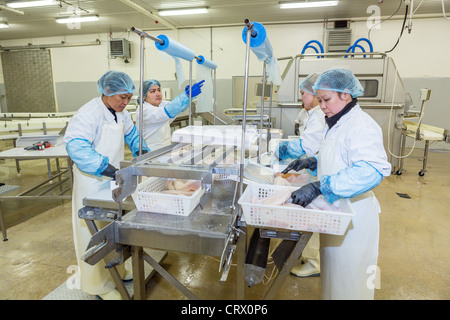 Fish Factory Jobs Denmark