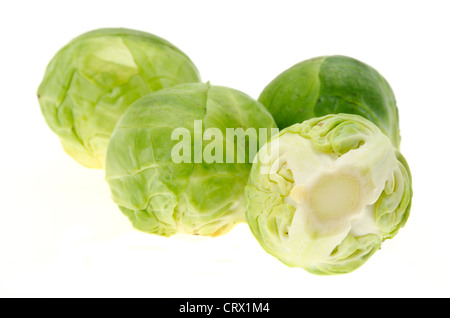 Group of Brussels sprouts - shallow depth of field - studio shot with a plain white background Stock Photo