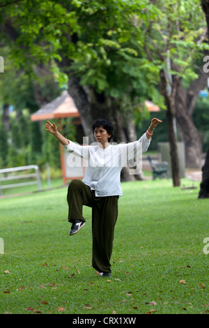 A young Thai woman practising tai-chi-chuan in the early morning (Bangkok) Jeune femme Thaïlandaise pratiquant le tai-chi-chuan. Stock Photo