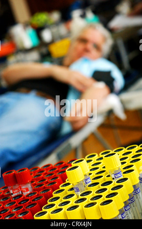 A rack of blood samples in Vacutainer test tubes. Stock Photo