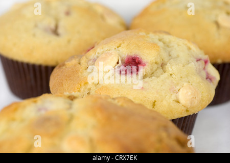 Raspberry and white chocolate muffins Stock Photo