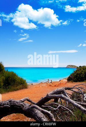 Cala Nova beach in Ibiza island with turquoise water in Balearic Mediterranean Stock Photo