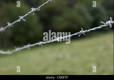 Close up view of a barbed wire fence on a green wooded background Stock Photo