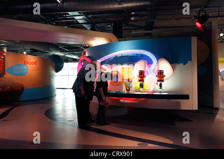What is blood- the Think Tank Museum in Birmingham Stock Photo