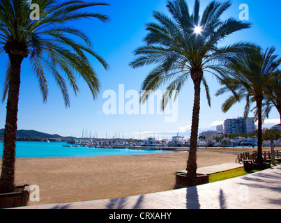 Ibiza Sant antoni de Portmany Abad beach with palm trees Stock Photo
