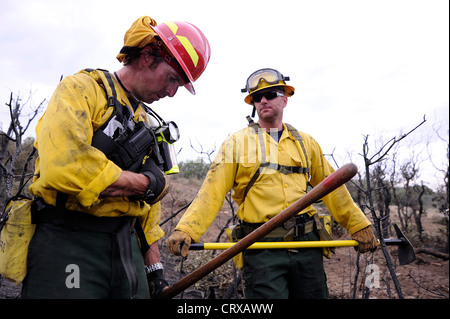 US Forest Service firefighters patrol an area burned by the Waldo Canyon wild fire to make sure it doesn't reignite June 28, 2012 in Colorado Springs, CO. Stock Photo