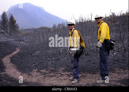 US Forest Service firefighters patrol an area burned by the Waldo Canyon wild fire to make sure it doesn't reignite June 28, 2012 in Colorado Springs, CO. Stock Photo