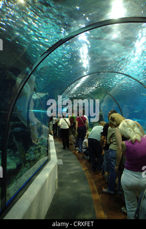 The new aquarium, one of the biggest in Europe Stock Photo