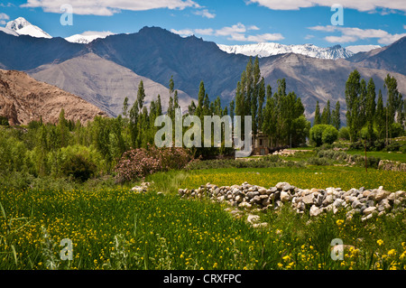 Green field with rock wall, small house in the trees and mountains in the background. Stock Photo