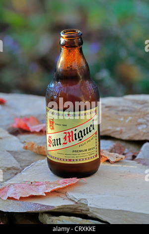 Bottle of San Miguel beer. Stock Photo
