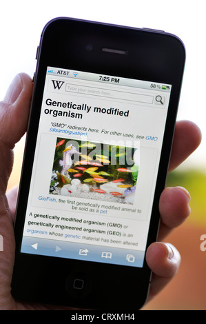 iPhone - Wikipedia - Genetically Modified Organism Stock Photo