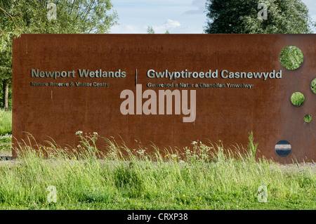 Newport Wetlands, Gwent levels, South Wales Stock Photo