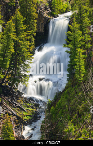 USA, Wyoming, Waterfall, Undine Falls, Yellowstone National Park Stock ...