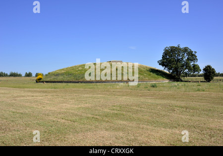 Italy, Lazio, Vulci, archaeological park, etruscan tumulus called Tumulo della Cuccumella Stock Photo