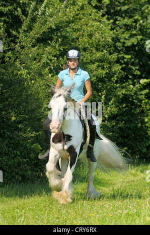 Young rider bareback and without bridle galloping on Irish Tinker Model release available Stock Photo