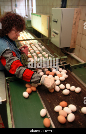 Ball control on a farm Stock Photo